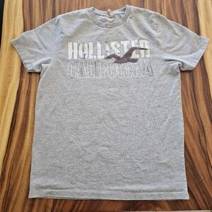 Hollister Mens tshirt